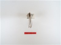 藏品(臺灣蟻蛉)的圖片